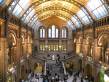  hall principal du museum